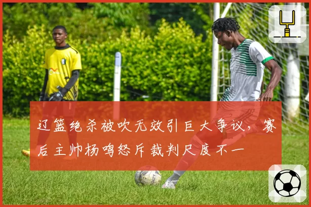 辽篮绝杀被吹无效引巨大争议，赛后主帅杨鸣怒斥裁判尺度不一