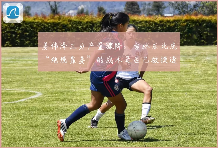 姜伟泽三分产量骤降，吉林东北虎“绝境靠姜”的战术是否已被摸透？