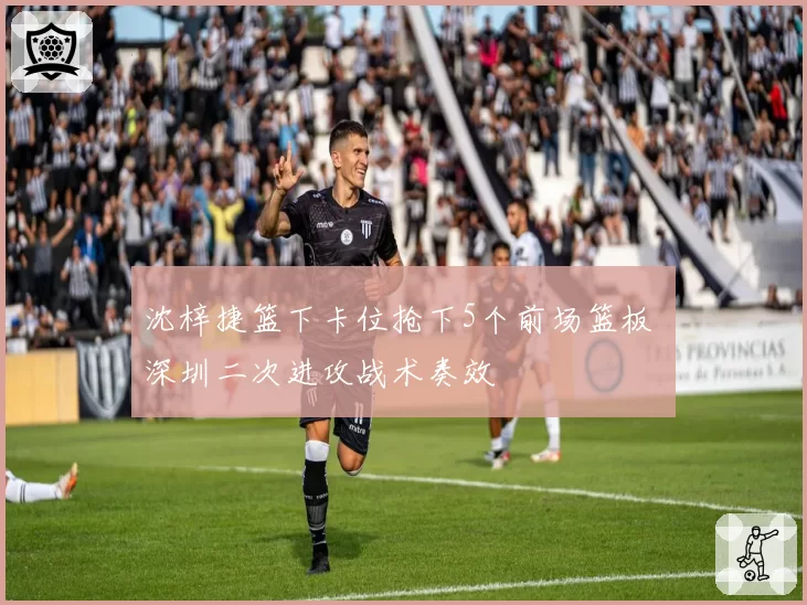 沈梓捷篮下卡位抢下5个前场篮板 深圳二次进攻战术奏效